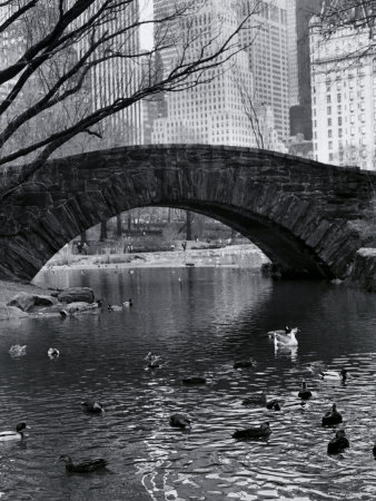 Central Park, New York City, USA Other Central Park, New York City, USA Other