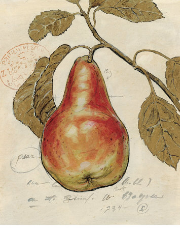 Pear Etching Print Pear Etching Print