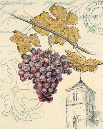 Artist's Grapes Print Artist's Grapes Print