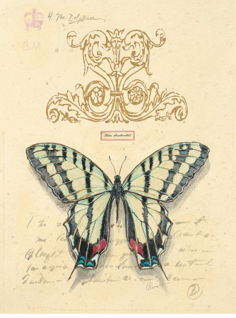 Filigree Papillon Print Filigree Papillon Print