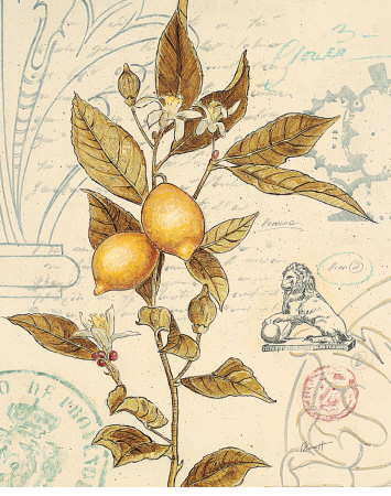 Artist's Lemons Print Artist's Lemons Print