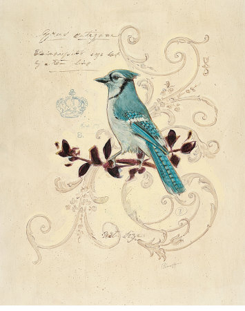 Filigree Jay Print Filigree Jay Print