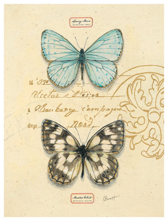Duet Papillon Print Duet Papillon Print