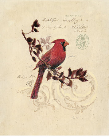 Filigree Cardinal Print Filigree Cardinal Print
