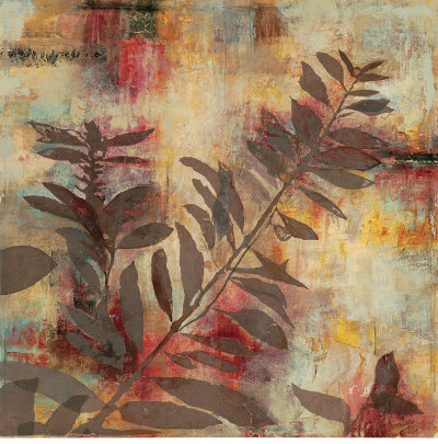 Nature's Shadows II Print Nature's Shadows II Print