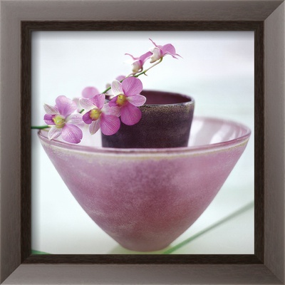 Orchids Framed Print Orchids Framed Print