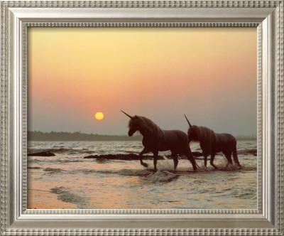 Last Unicorns Framed Print Last Unicorns Framed Print