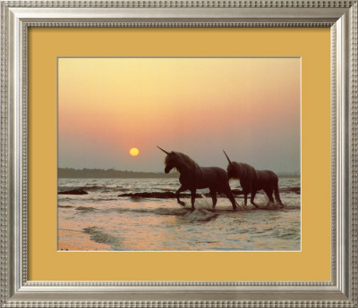Last Unicorns Framed Print Last Unicorns Framed Print