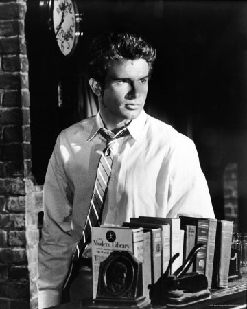 Warren Beatty Other Warren Beatty Other
