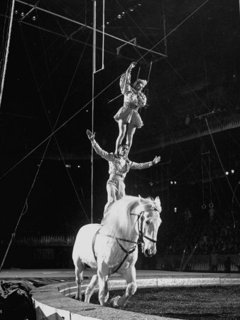 barnum and bailey circus. Barnum and Bailey Circus