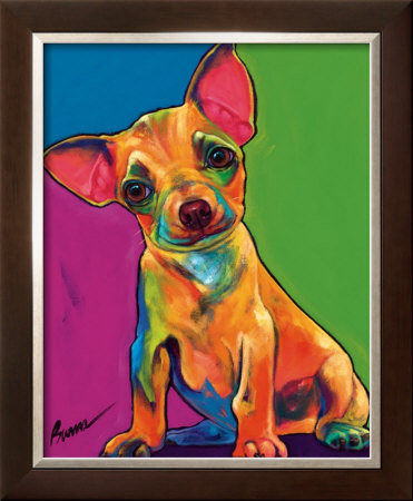 Zeus Framed Print Zeus Framed Print