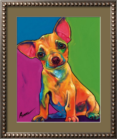 Zeus Framed Print Zeus Framed Print