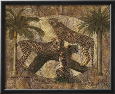 Jungle Cheetahs Framed Print Jungle Cheetahs Framed Print