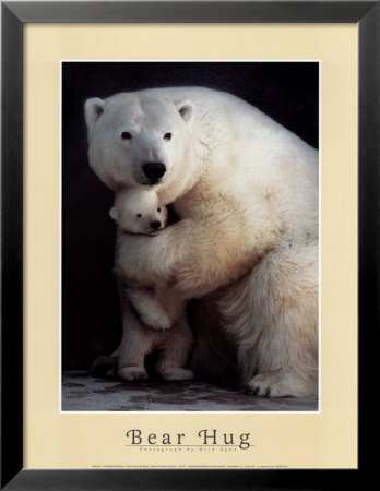 Bear Hug Framed Print Bear Hug Framed Print
