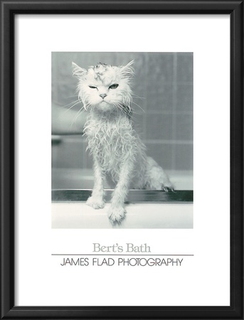 Bert's Bath Framed Print Bert's Bath Framed Print