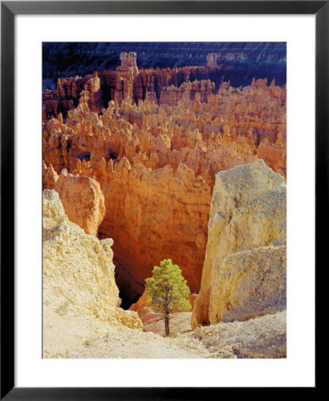 Determination Framed Print Determination Framed Print