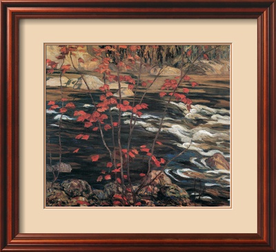 The Red Maple Framed Print The Red Maple Framed Print