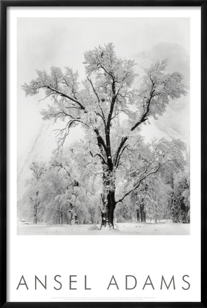 ansel adams poster. by Ansel Adams at Art.com