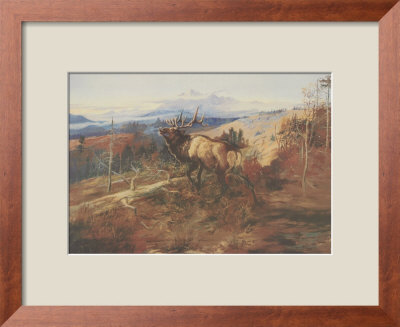The Elk Framed Print The Elk Framed Print