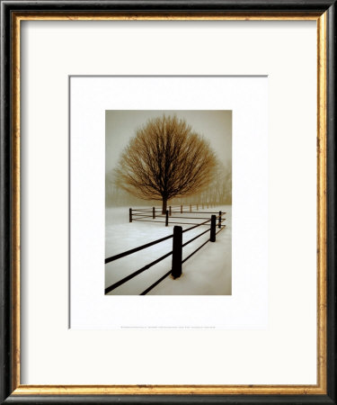 Solitude Framed Print Solitude Framed Print