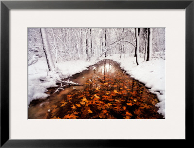 Autumn Passage Framed Print Autumn Passage Framed Print