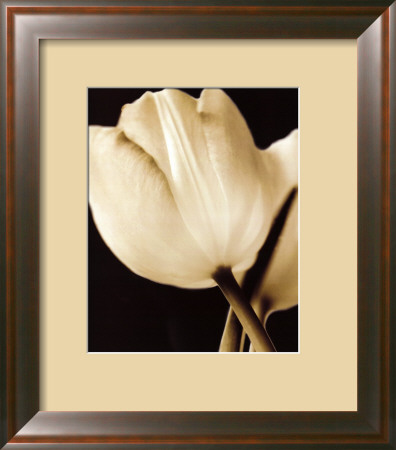Radiance I Framed Print Radiance I Framed Print