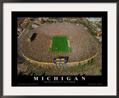university of michigan. University of Michigan