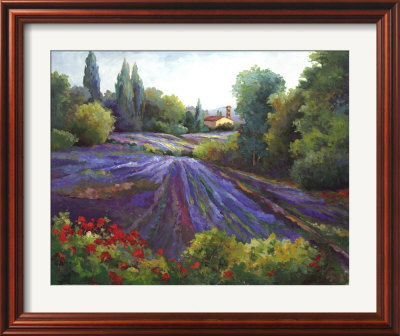 Summer of Lavender Framed Print Summer of Lavender Framed Print