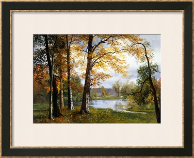 A Quiet Lake Framed Print A Quiet Lake Framed Print