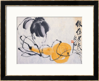 Gourd Framed Print Gourd Framed Print
