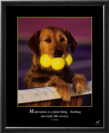 Excess Framed Print Excess Framed Print