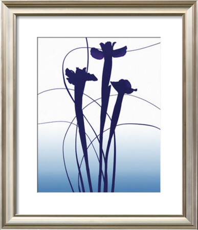 Blue Iris Framed Print Blue Iris Framed Print