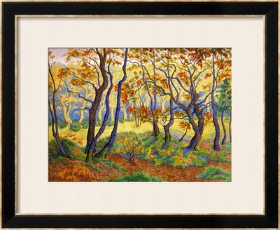 Edge Of The Forest Framed Print Edge Of The Forest Framed Print