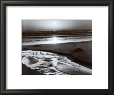 Birds on a Beach Framed Print Birds on a Beach Framed Print