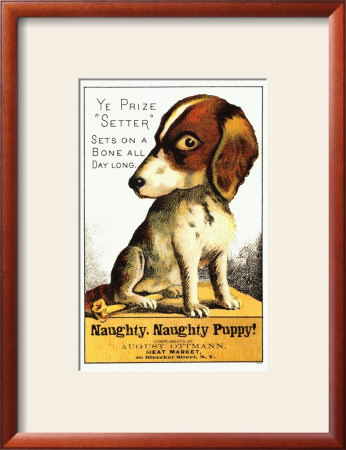Naughty, Naughty Puppy Framed Print Naughty, Naughty Puppy Framed Print
