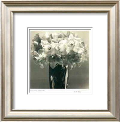 Daffodils Framed Print Daffodils Framed Print