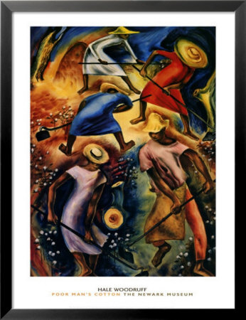 Poor Man's Cotton Framed Print Poor Man's Cotton Framed Print