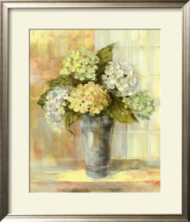 Yellow Hydrangea Framed Print Yellow Hydrangea Framed Print