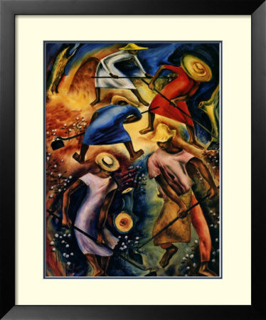 Poor Man's Cotton Framed Print Poor Man's Cotton Framed Print