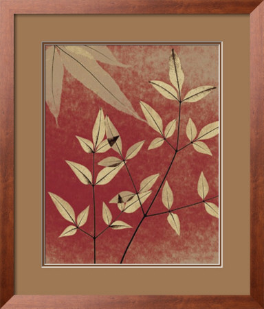 Collage III Framed Print Collage III Framed Print