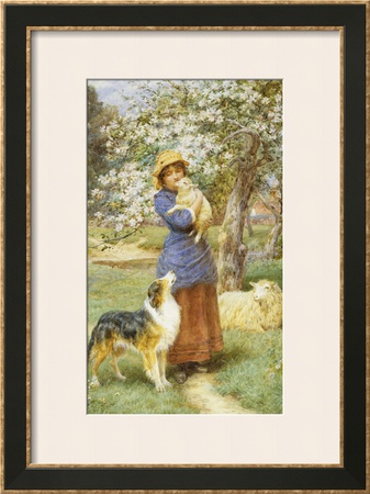 Lambing Time Framed Giclee Print Lambing Time Framed Giclee Print