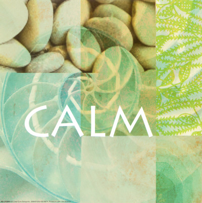 Reflections: Calm Print Reflections: Calm Print
