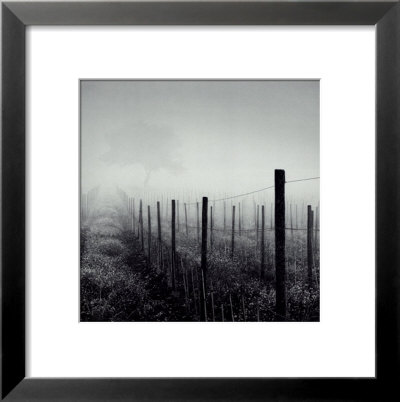 Vineyard Framed Print Vineyard Framed Print