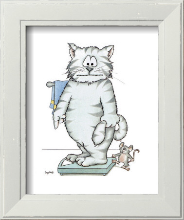 Bathroom Cats VI Framed Print Bathroom Cats VI Framed Print