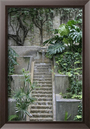 Texas Paradise Framed Print Texas Paradise Framed Print
