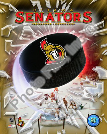 Ottawa Senators Team Logo Photograph Ottawa Senators Team Logo Photograph