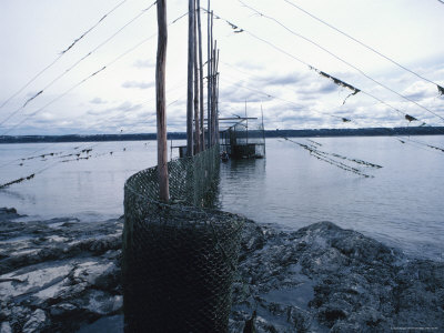 Industry on Muddy Seaside Photographic Print Industry on Muddy Seaside Photographic Print