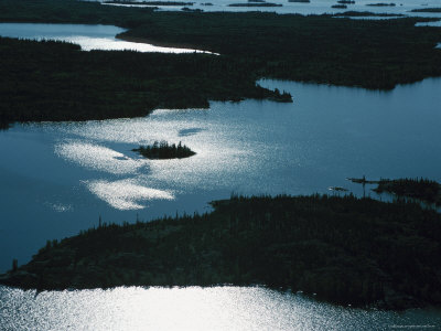 Serene Forest and Lake Photographic Print Serene Forest and Lake Photographic Print