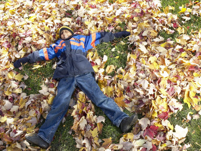 Little Boy Lying in the Leaves Photographic Print Little Boy Lying in the Leaves Photographic Print