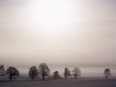 Winter Landscape Other Winter Landscape Other